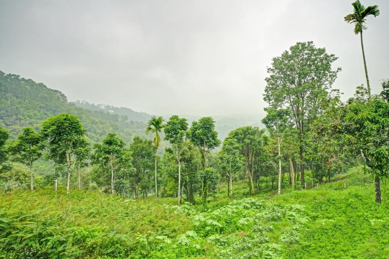 Oyo Flagship 81260 Star Lights Hotell Munnar Exteriör bild